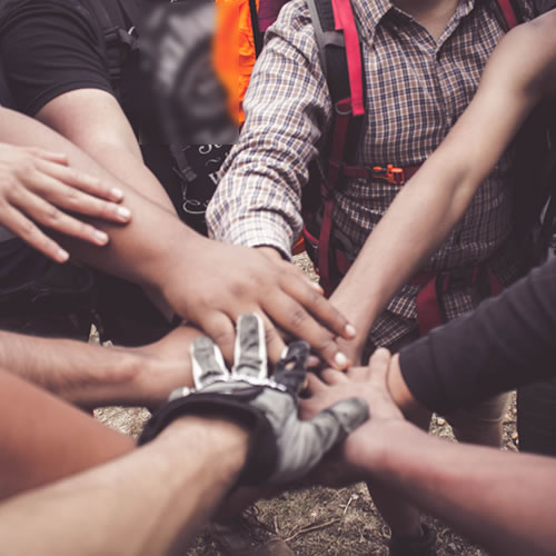 st paul helping hands